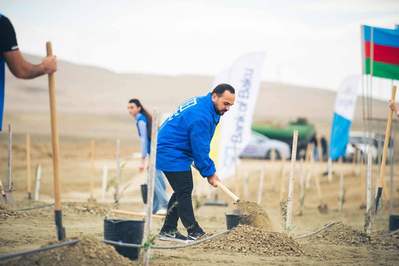 Bank of Baku-dan yaşıl təşəbbüs – növbəti ağacəkmə aksiyası keçirildi